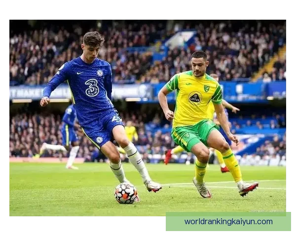 德比郡黑白军团表现稳健，持续增强在联赛中的竞争力。